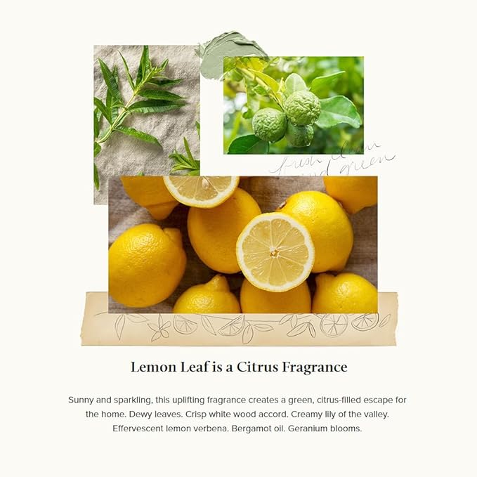 Thymes Pura Refills – 2 Pack of Oil Diffuser Scents – Long-Lasting Pura Diffuser Refills – Premium Home Fragrance – Citrus Notes of Lemon Verbena, Dewey Leaves & Bergamot (Lemon Leaf, Pack of 2)