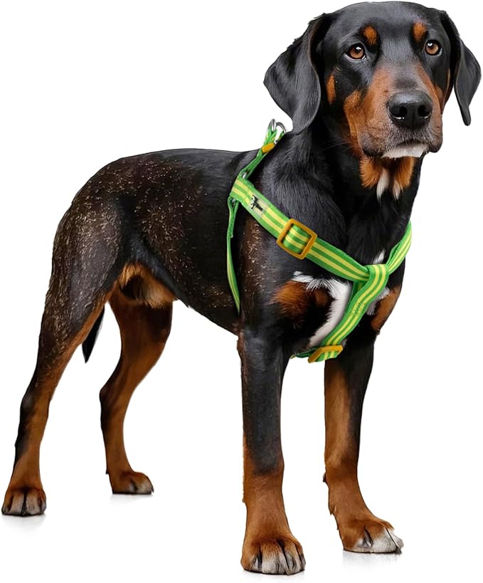 Stripe Step in Dog Harness for Small Dogs, Freedom Nylon Dog Halter Vests, Lightweight and Escape Proof Puppy Harness, Quick Fits for Small Medium and Large Dogs, Green L-Mewly Pet