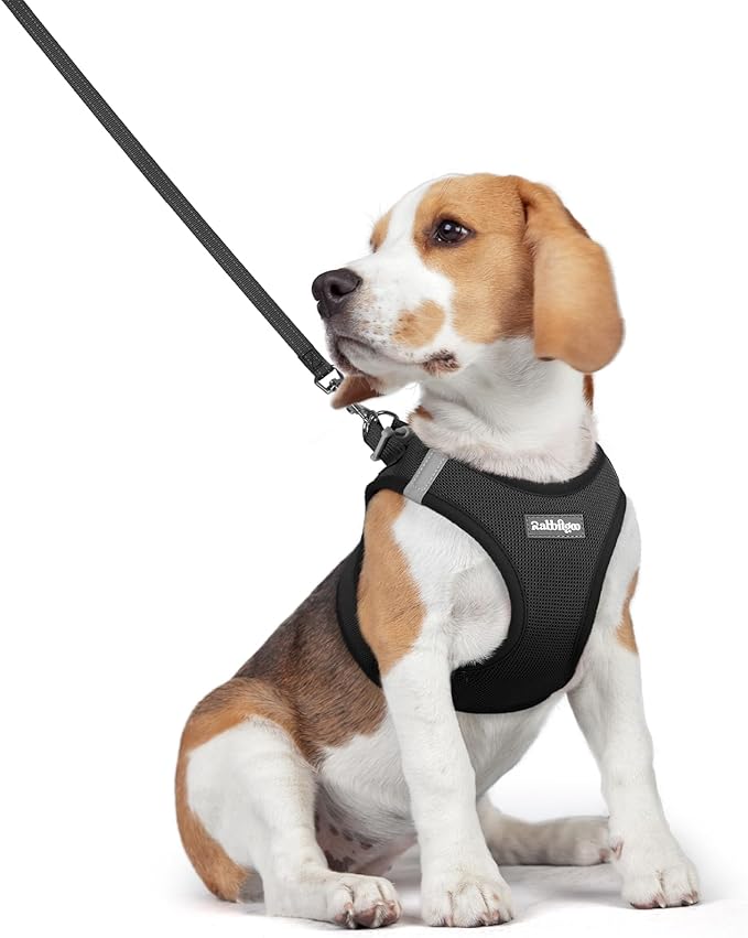 rabbitgoo Dog Harness Small Medium Sized and Leash Set, Step in Soft Light Puppy Vest, Breathable Mesh Pet Harness, Reflective for Safe Easy Walking, Black L-Mewly Pet