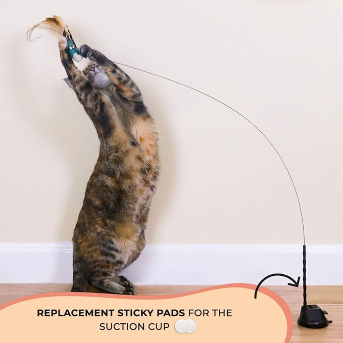 Interactive Catnip Bird Toy Set, Interactive Cat Toys for Indoor Cats, Cat Feather Toy, Suction Cup, Weighted Base, 5 Replacement Birds, Feathers & Bells, Realistic Bird Impression-Mewly Pet