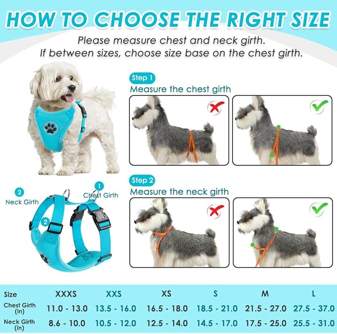 SlowTon Dog Seat Belt Harness for Car, Dog Car Harness Adjustable Mesh Breathable & Dog Seatbelt Safety Tether with Elastic Bungee for Small Medium Large Pets(Light Blue, Double Clip, XS)-Mewly Pet