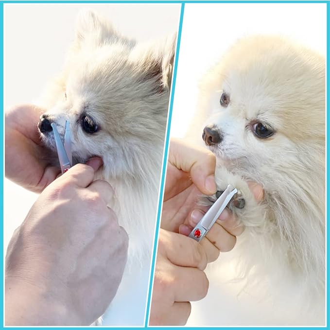 4.5" Straight Dog Scissors for Grooming Face and Paws with Safety Round Tip for Small Dogs Cats Face Paw Ears Trimmer Cat Grooming Scissors(4.5" Straight, Gray)-Mewly Pet