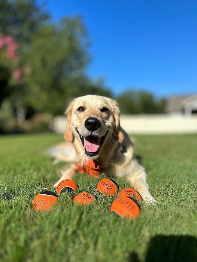 Midlee Orange/Black Dog Halloween Tennis Balls- Set of 6-Mewly Pet