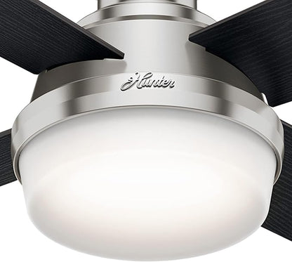 Hunter 44 inch Indoor Ceiling Fan with LED Light and Remote Control - Modern Ceiling Fan, Low Profile Mount, 4 Black Oak Blades, For Bedroom, Living Room, or Kitchen - Dempsey 59243, Brushed Nickel