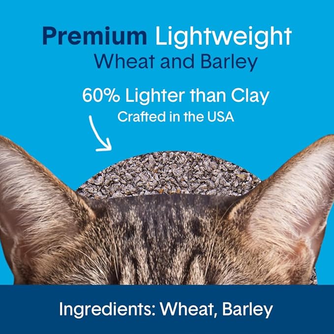 Boxie® Unscented 30 Day Natural Odor Control Cat Litter, 6.5lb Lightweight Plant Based Kitty Litter-Mewly Pet