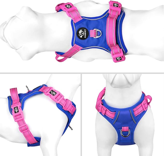 PHOEPET No Pull Dog Harness, Unique Colors Reflective Adjustable Dog Vest, with Soft Training Handle Metal Clips for Small Medium Large Dogs (Royal Blue Base & Pink Straps,S)-Mewly Pet
