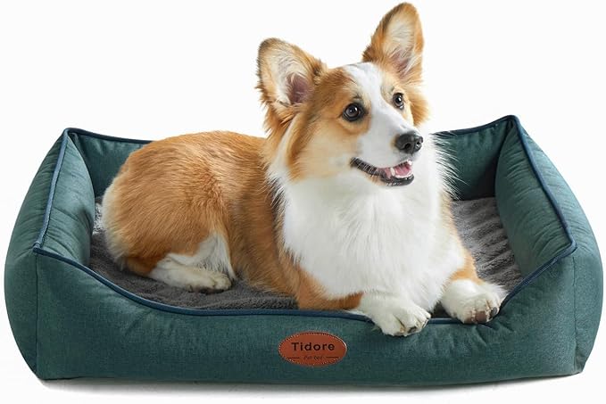 Orthopedic Dog Beds for Medium Dogs, Durable Egg Crate Foam Sofa Dog Bed wit Washable Removable Cover,Waterproof Lining,Pet Bed for Large Dogs (Olive Green, 31.5" L x 25.2" W x 7" Th)-Mewly Pet