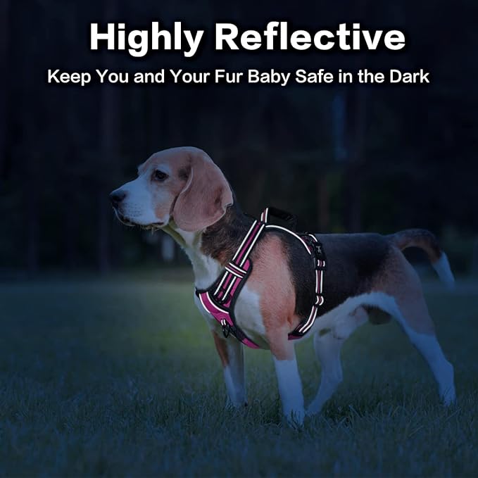 PoyPet No Pull Dog Harness, No Choke Front Clip Reflective Dog Vest with Soft Padded Vertical Handle, 3 Leash Attachments for Small Medium Large Dogs (Pink,L)-Mewly Pet