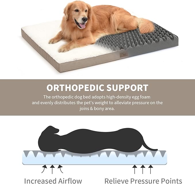 Medium Dog Bed for Medium/Small Dogs, Orthopedic Dog Beds with Removable Washable Waterproof Cover, Egg Crate Foam Pet Bed Mat, Khaki White-Mewly Pet