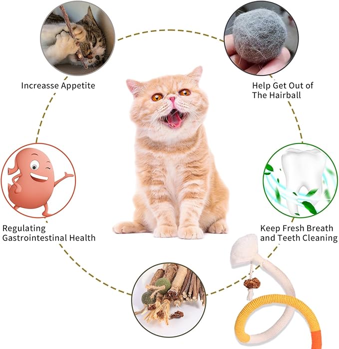 Cat Toys Cat Chew Toys, Silvervine Sticks Catnip Rope Toys for Cats Teeth Cleaning, Kitten Dental Care, Kitty for Indoor Cats Increase Appetite,Enhances Oral & Dental Health (21 Pack)-Mewly Pet