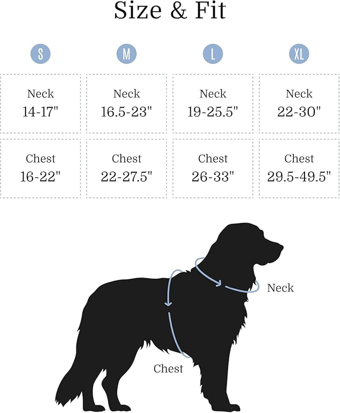 2025 New Edition, Fei & Eve MagEase Dog Harness - 3-Second Magnetic Buckles | 3-Point No-Pull Control | Heavy-Duty 900D Nylon | Dual Safety Handles | Breathable Mesh | Adjustable Fit |Small, Blue-Mewly Pet