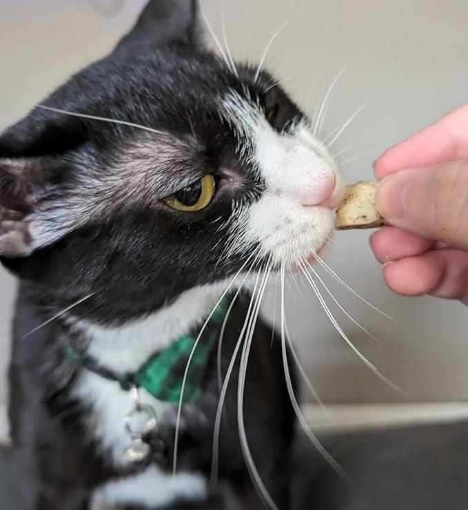 Freeze Dried Pork Heart Dog Treats Made in USA. All Natural Freeze-Dried Raw Snacks for Dogs and Cats. Single Ingredient. High Protein, Heart Health, Irresistible Training Treat-Mewly Pet