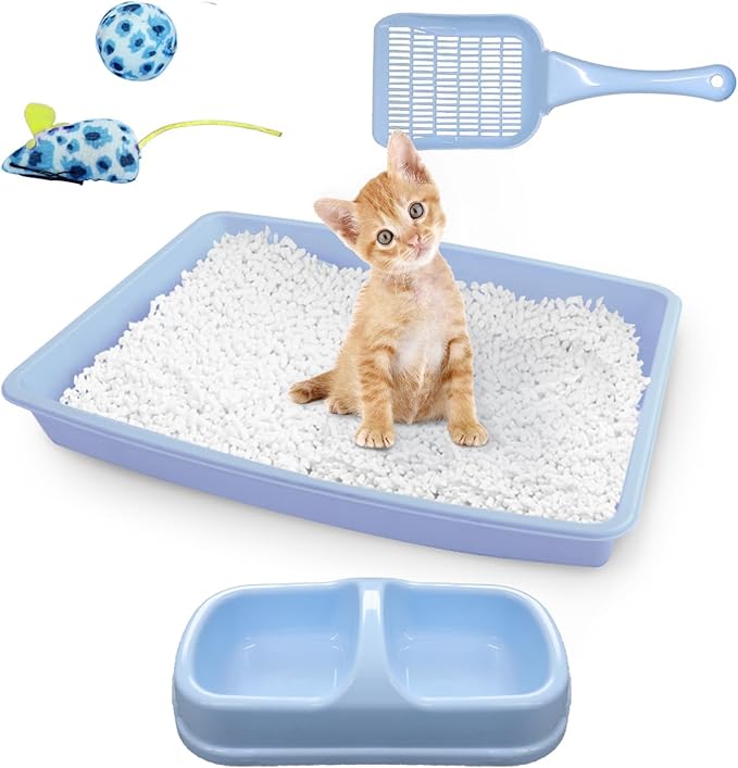 PAWISE Cat Litter Box Set, Small Cat Kitten Starter Kit, Include Cats Toilet Kitten Litter Pan, Cat Litter Scoop, Double Dish Cat Bowl, Cat Mouse Toy, Cat Ball Toy-Mewly Pet