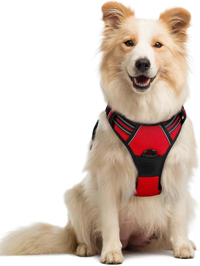 rabbitgoo Dog Harness No Pull with 2 Leash Clips, Adjustable Soft Padded, Reflective Oxford No Choke Pet Vest with Easy Control Handle for Medium Sized Dogs, Red, M-Mewly Pet