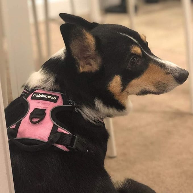 rabbitgoo Dog Harness No Pull with 2 Leash Clips, Adjustable Soft Padded, Reflective Oxford No Choke Pet Vest with Easy Control Handle for Small Dogs, Pink, S-Mewly Pet