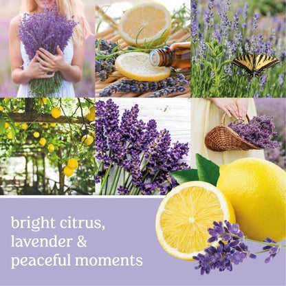 Yankee Candle ScentPlug Refill, Lemon Lavender (Pack of 6)