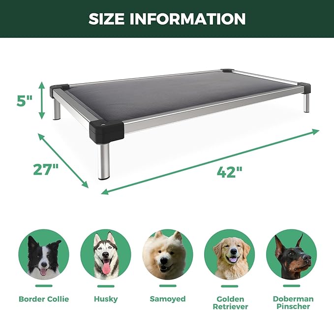 FXW TitanNest Chew-Proof Elevated Dog Bed, Raised Cot for Indoor/Outdoor/Camping Use, Durable & Washable Padded Pet Bed for Medium Dogs, 42.0" L x 27.0" W x 5.0" H, Gray-Mewly Pet