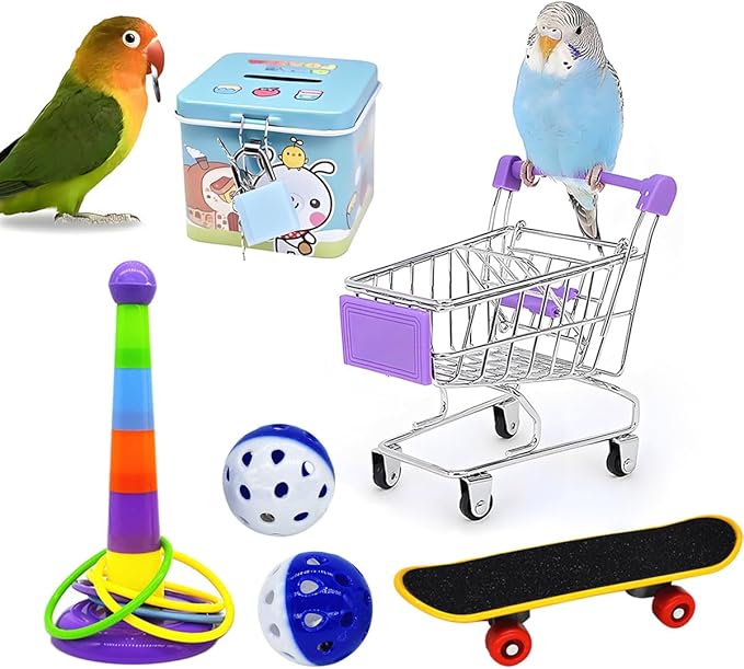 6pcs Interactive Puzzle Toy Set for Small Parrots - Training, Stress Relief, Include Coin Box, Bell Ball, Skateboard & Ferrule Toy for Bird Budgies, Cockatiels, Parakeet etc-Mewly Pet