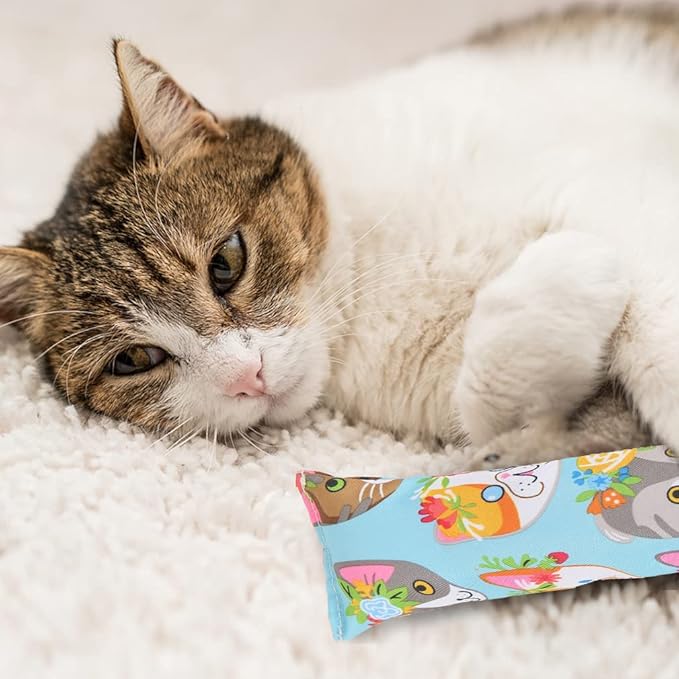 BINGPET 3 Pcs Catnip Toy Cat Kicker Toys, Durable and Bite Resistant Cat Chew Toy, Filled with Natural Catnip, Indoor Kitty Kick Pillow Toy with Cute Printing-Mewly Pet