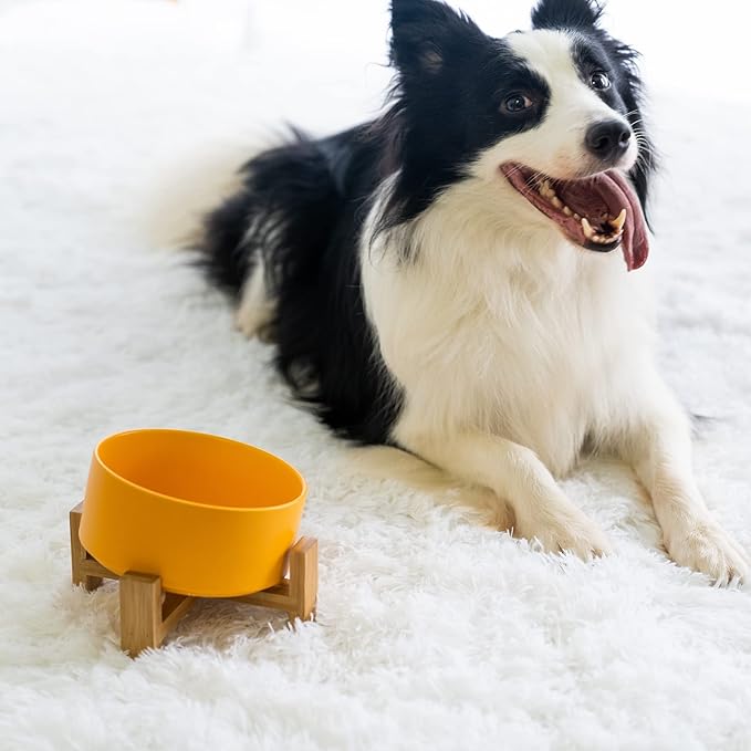 SPUNKYJUNKY 15° Slanted Ceramic Dog and Cat Bowl with Wooden Stand, Tilted Bulldog Food and Water Bowl No Slip Non-Spill for Cats Medium Dogs Big Face Pets 28.7 OZ (3.6 Cups, Yellow)-Mewly Pet