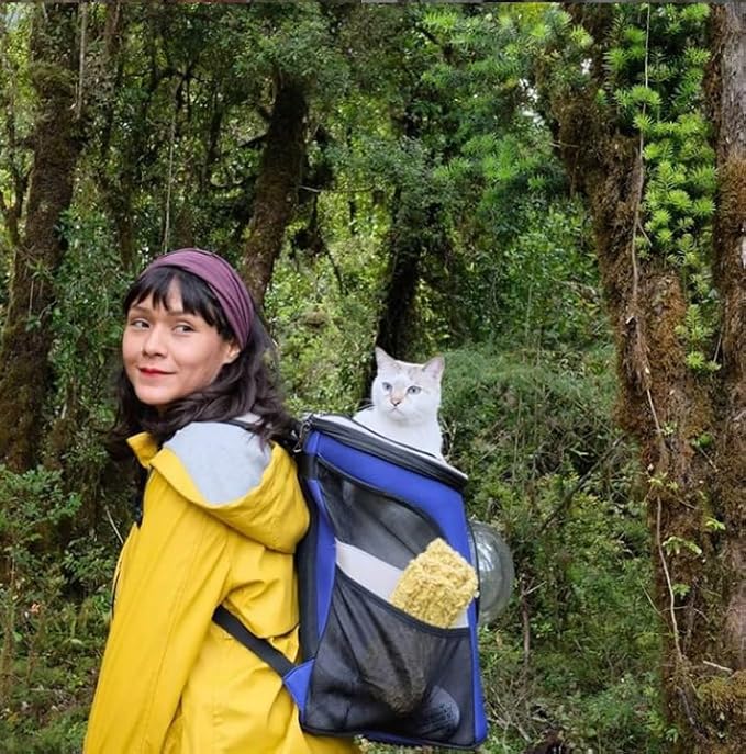 Your Cat Backpack Carrier Bag - Jackson Galaxy Airline Approved Cat Carrier with Space Capsule Bubble for Small Cats, Kitten - Premium Cat Carrier Backpack for Outdoor, Travel, Hiking, Pet Supplies-Mewly Pet