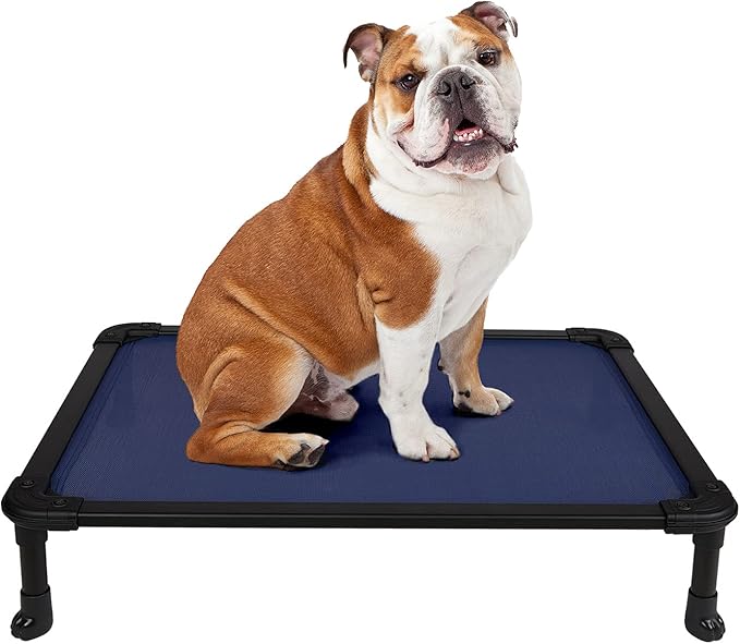 Veehoo Chew Proof Elevated Dog Bed - Cooling Raised Pet Cot - Rustless Aluminum Frame and Durable Textilene Mesh, Unique Designed No-Slip Feet for Indoor or Outdoor Use, Blue, Medium, CWC2002-Mewly Pet