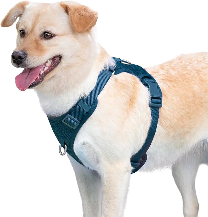 No Pull Dog Harness for Small Medium Large Dogs - Adjustable Two-Layer Mesh Dog Vest with Dual Clip, Escape Proof, Quick Release, Lightweight Breathable Mesh for Walking Hiking (Prussian Blue,S)-Mewly Pet