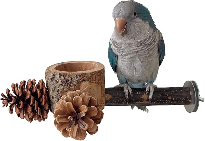 Bird Perch with Safe Bowl Wood & Pinecones - Bird Toys Chew Toys 100% Natural & Durable for Cockatiel, Conure, Budgie, Lovebird, Parakeet - Birdcage Accessory for Foraging & Oral Health-Mewly Pet