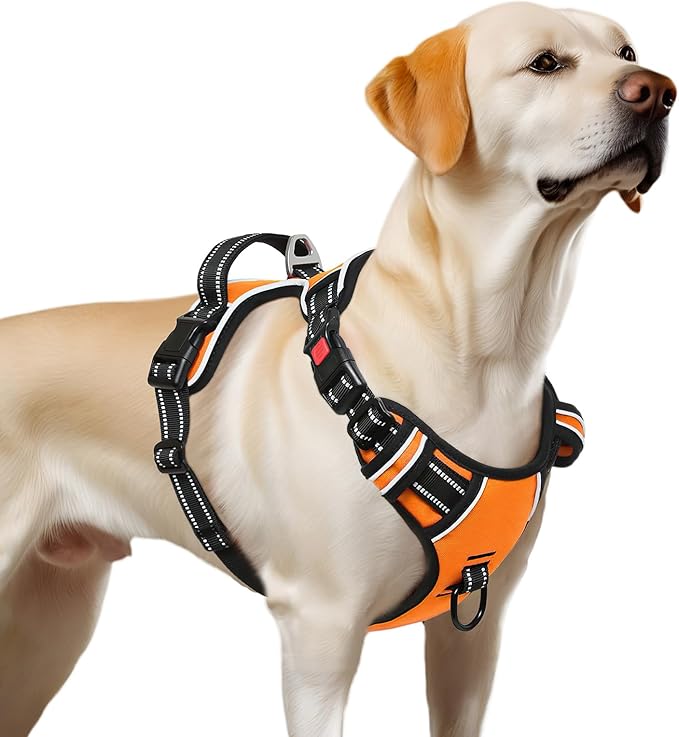 Timos Dog Harness Large Sized, No Pull with Neck Lockable Snap,No Choke Front Clip Dog Reflective Harness,Adjustable Metal Rings 3 Buckles,Easy Control Handle for Large Dogs Orange XL-Mewly Pet