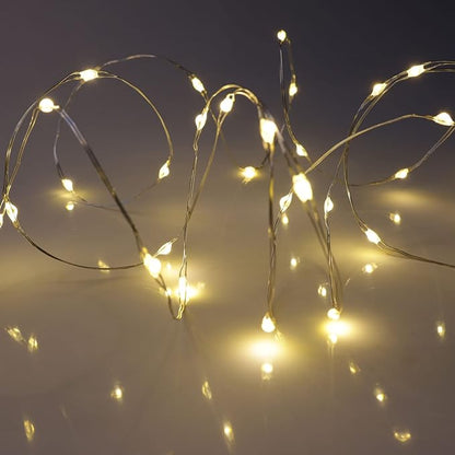 QBIS Warm White Fairy Lights Battery Operated With Timer Mode, 40 Micro LED for Mason Jars, 6.5ft Silver Wire Indoor Use
