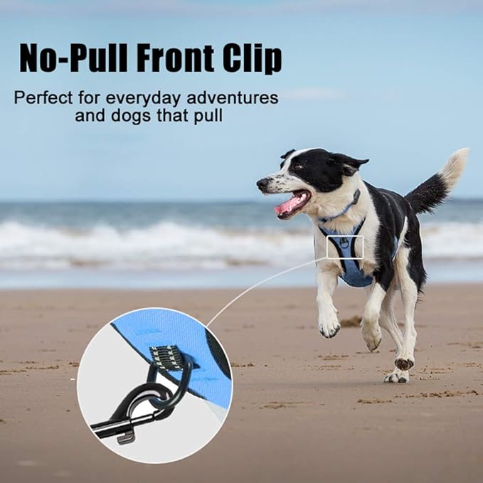 PoyPet No Pull Dog Harness, Reflective Comfortable Vest Harness with Front & Back 2 Leash Attachments and Easy Control Handle Adjustable Soft Padded Pet Vest for Small to Large Dogs (Light Blue,S)-Mewly Pet