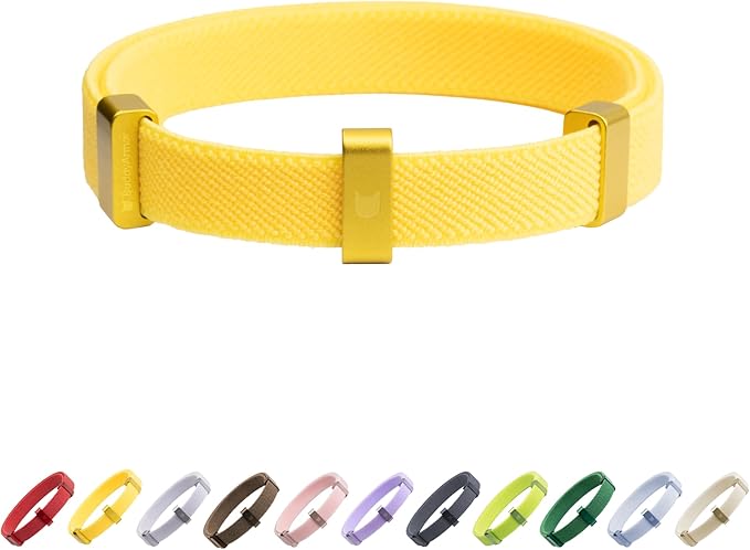 Safety Cat Collar - U.S. IDA Gold Awarding Design, Elastic Quick Release, Non Breakaway - Lightweight for Kitten, Neck Fit 5.9'-11.8' for All Small Large Cat,S(Sunshine)-Mewly Pet