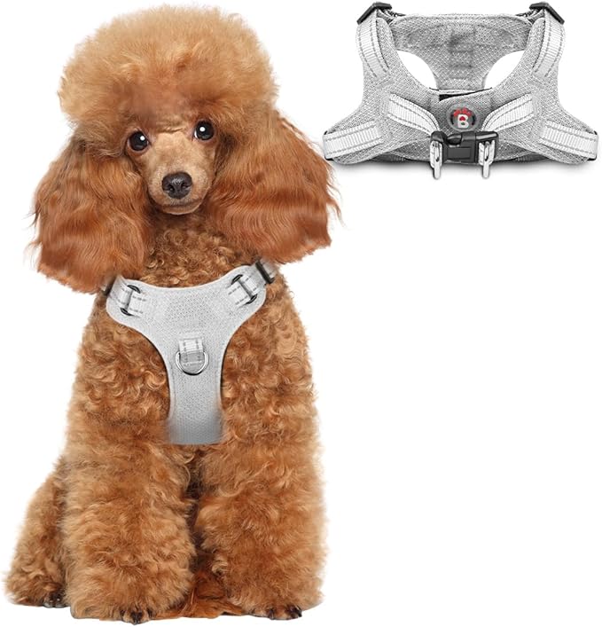 Dog Harness Step in Dog Vest Harness, Reflective Adjustable Puppy No Pull Harness Breathable Soft for Small and Medium Dogs Cats, Grey, XS-Mewly Pet