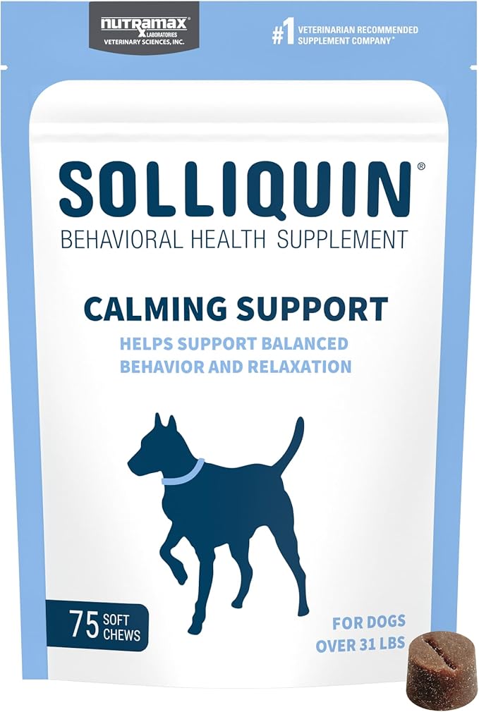 Nutramax Solliquin Calming Behavioral Health Supplement for Large Dogs - with L-Theanine, Magnolia/Phellodendron, and Whey Protein Concentrate, 75 Soft Chews-Mewly Pet