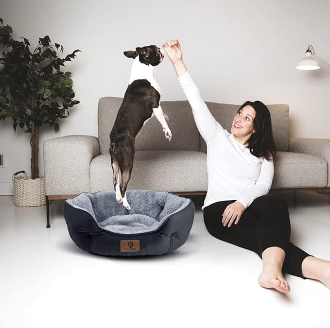 Asvin Small Dog Bed for Small Dogs, Cat Beds for Indoor Cats, Pet Bed for Puppy and Kitty, Extra Soft & Machine Washable with Anti-Slip & Water-Resistant Oxford Bottom, Black, 20 inches-Mewly Pet