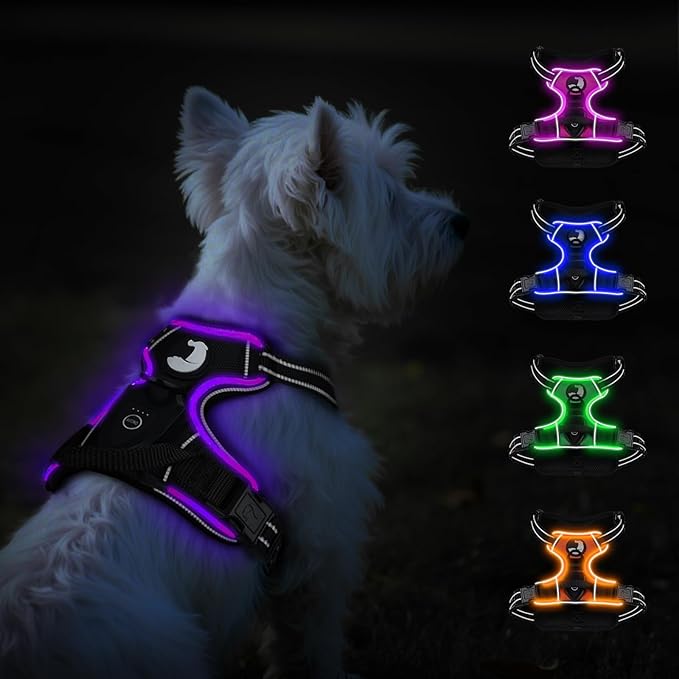 Taglory Light Up Dog Harness, Rechargeable No Pull Dog Vest with 3 Lightning Modes, Reflective Dog Harness with 2 Leash Clips & 4 Adjustable Slide Strips for Small Dogs, Black-Purple, S-Mewly Pet