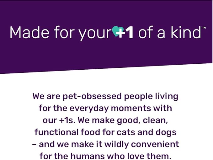 I AND LOVE AND YOU Stir and Boom Dehydrated Freeze Dried Raw Dog Food - Beef - Grain Free, Real Meat, No Fillers, 1lb Bag-Mewly Pet