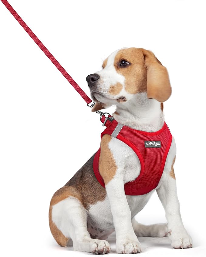 rabbitgoo Dog Harness Small Medium Sized and Leash Set, Step in Soft Light Puppy Vest, Breathable Mesh Pet Harness, Reflective for Safe Easy Walking, Red L-Mewly Pet