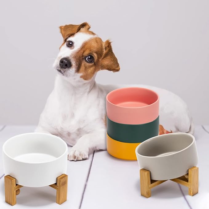 SPUNKYJUNKY 15° Slanted Ceramic Dog and Cat Bowl with Wooden Stand, Tilted Bulldog Food and Water Bowl No Slip Non-Spill for Cats Medium Dogs Big Face Pets 28.7 OZ (3.6 Cups, White)-Mewly Pet