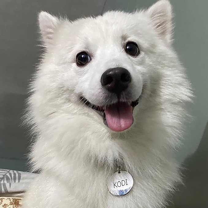 316 Surgical Grade Stainless Steel Personalized Dog & Cat ID Tags - Made with Three Thousand Love for Our Fur-Baby - Original Funny Shapes Heart, Engraved Name or Text for Pet Collar Accessories-Mewly Pet