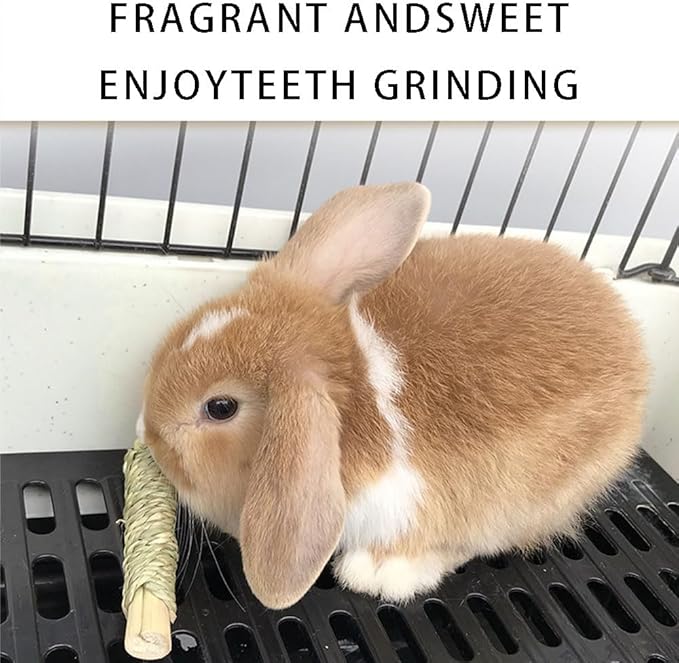 Rabbit Toys 30Pcs 3 Flavours for Teeth Grinding - Chew Toys for Hamsters, Guinea Pigs, Chinchillas-Mewly Pet