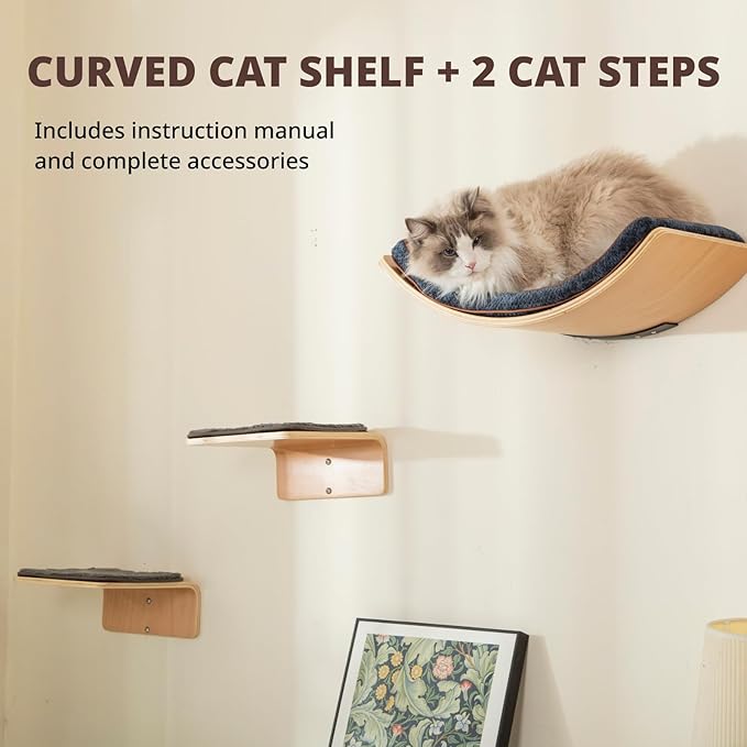 Cat Wall Shelf with Two Steps - Curved Cat Shelves and Perches for Wall (Large Size) - Wall Mounted Cats Furniture for Sleeping, Playing, Climbing, and Lounging-Mewly Pet