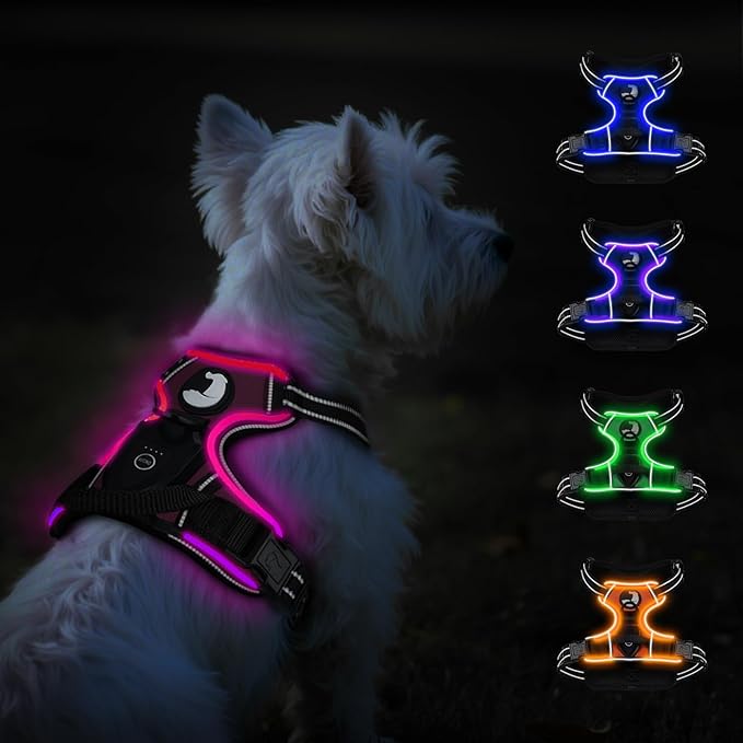 Taglory Light Up Dog Harness, Rechargeable No Pull Dog Vest with 3 Lightning Modes, Reflective Dog Harness with 2 Leash Clips & 4 Adjustable Slide Strips for Small Dogs, Hotpink-Hotpink, S-Mewly Pet