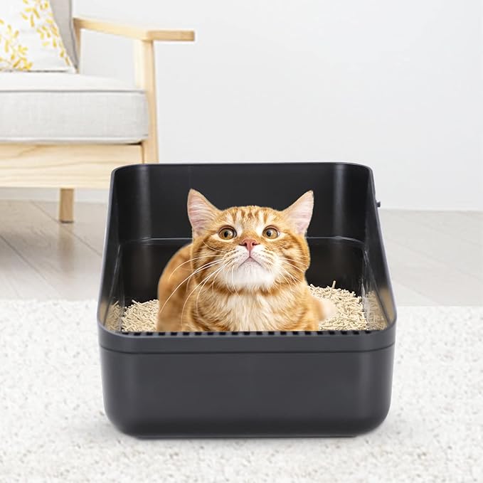 Sfozstra Open Litter Box, High Side Sifting, Secure and Odor Control, Removable, Easy to Clean for Cats Up to 8 Pounds (Black Small)-Mewly Pet
