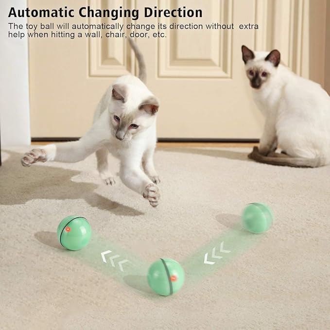 WWVVPET Interactive Cat Toy With LED Light, 360 Degree Self Auto Rotating Smart Ball, USB Rechargeable Spinning Toy, Stimulate Hunting Instinct for Kittens, Funny Chaser Roller Pet Toy-Mewly Pet
