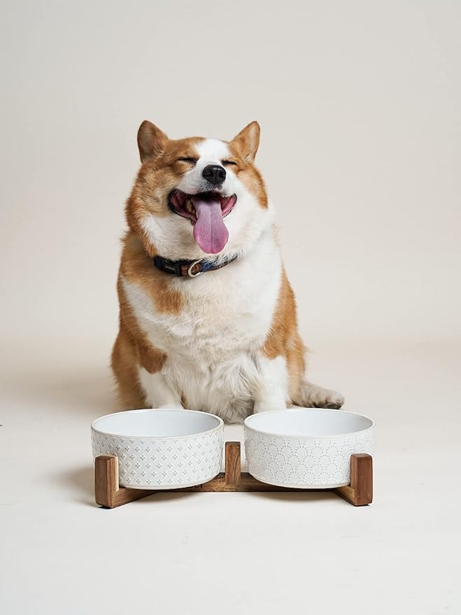 LE TAUCI Dog Bowl Set with Acacia Wood Stand - 1.5-Cup Ceramic Puppy Bowls for Small Dogs, Dual Food and Water Bowls with Weighted Non-Slip Base, Clover-Mewly Pet