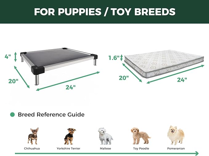FXW TitanNest Chew-Proof Elevated Dog Bed, Raised Cot for Indoor/Outdoor/Camping Use, Durable & Washable Padded Pet Bed with Exclusive Reuseable Cover for Toy Dogs, 24.0" L x 20.0" W x 4.1" H, Gray-Mewly Pet