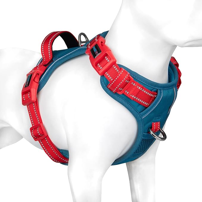 PHOEPET No Pull Dog Harness, Unique Colors Reflective Adjustable Dog Vest, with Soft Training Handle Metal Clips for Small Medium Large Dogs (Teal Base & Red Straps,XS)-Mewly Pet