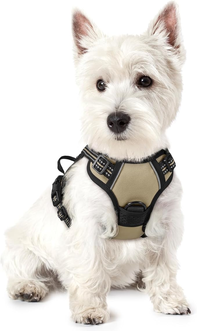 rabbitgoo Dog Harness No Pull with 2 Leash Clips, Adjustable Soft Padded, Reflective Oxford No Choke Pet Vest with Easy Control Handle for Puppy, Beige, XS-Mewly Pet