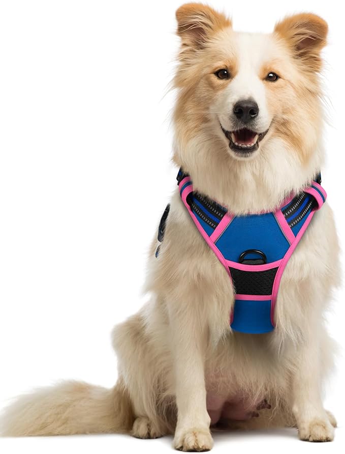 rabbitgoo Dog Harness No Pull with 2 Leash Clips, Adjustable Soft Padded, Reflective Oxford No Choke Pet Vest with Easy Control Handle for Large Dogs, Blue & Hot Pink, M-Mewly Pet